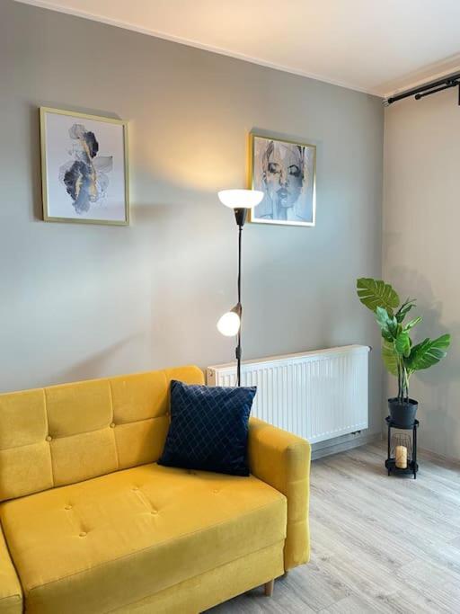 Vetulaniego Canary Comfort Kraków